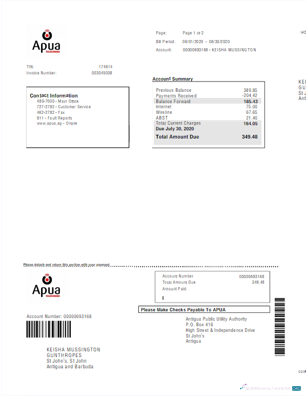 download download ANTIGUA AND BARBUDA APUA utility bill Word and PDF template PDF template PDF template